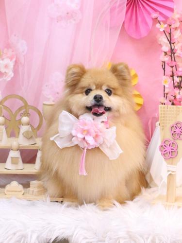 20250330梛都ちゃん